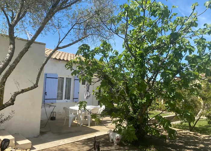 Gite Climatise Avec Piscine Sur Les Hauteurs De Bollene
