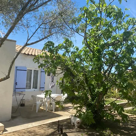 Gite Climatise Avec Piscine Sur Les Hauteurs De Bollene Exterior photo